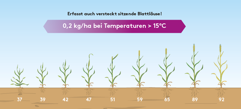 PIRIMOR® GRANULAT Produktinformationen ADAMA Produkte Deutschland